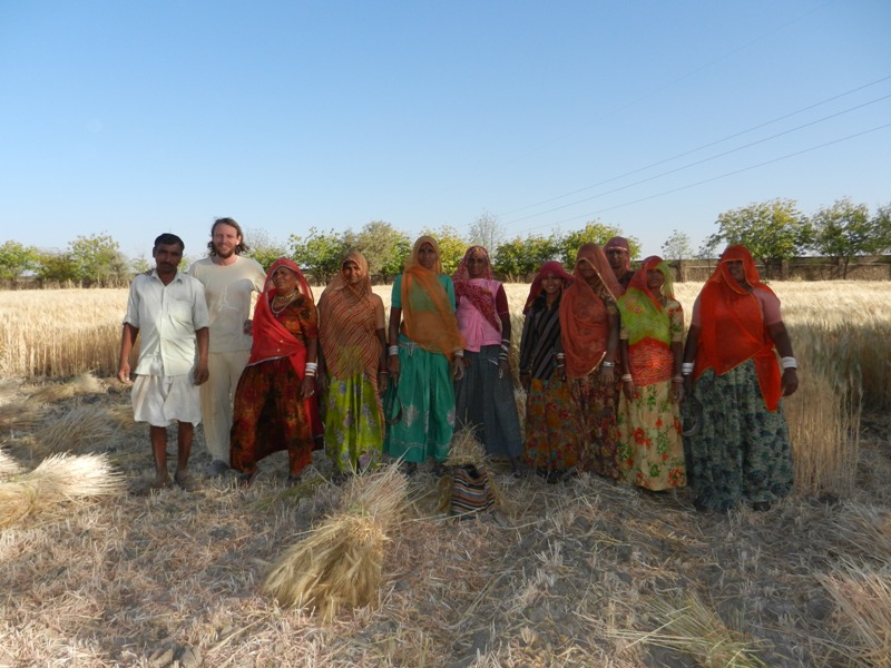 Harvest at Om Ashram