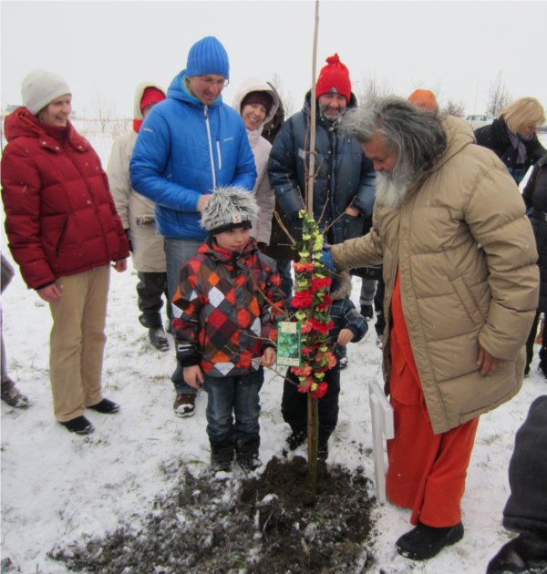 Peace tree planting in Eisenstadt, Austria 2013