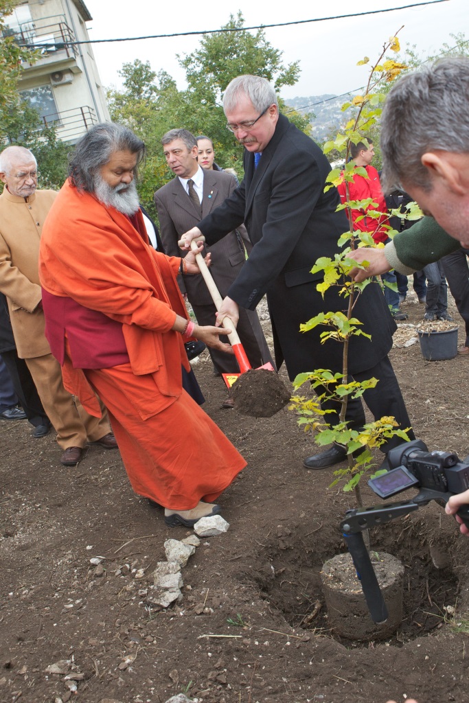 Tree planting 1