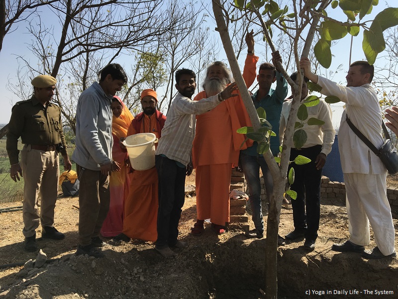 2019 01 banyan tree planting 8