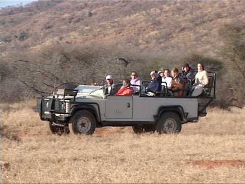 Swamiji on Safari