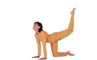 Vyaghrasana